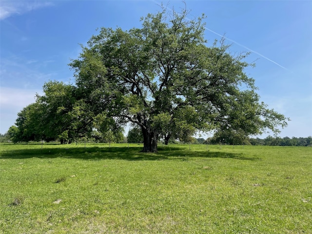 26039 Magnolia Rd, Hockley TX, 77447 land for sale