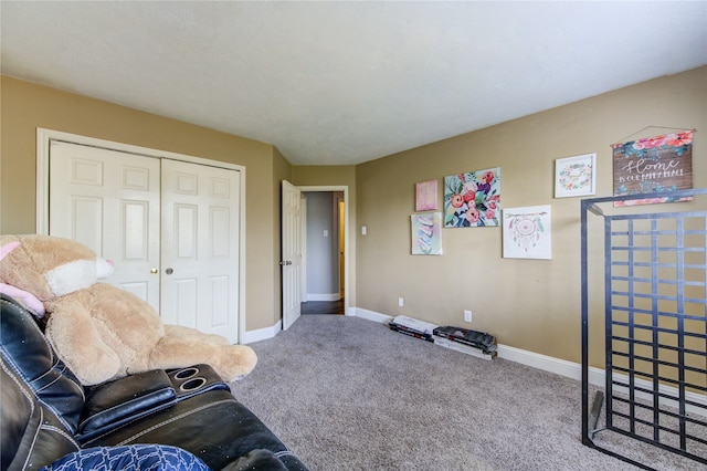 sitting room with carpet floors