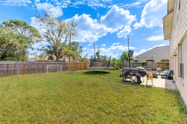 view of yard with a patio area and a trampoline