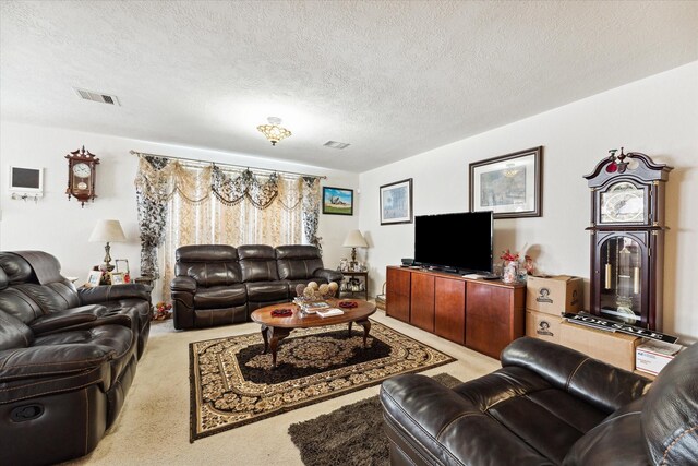 carpeted living room with a textured ceiling