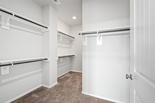 walk in closet with carpet floors