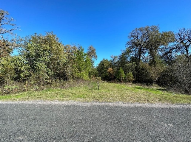 1529 Pinecrest Rd, Trinity TX, 75862 land for sale