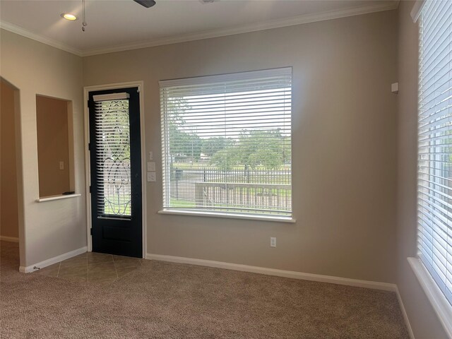 foyer entrance featuring light carpet and plenty of natural light