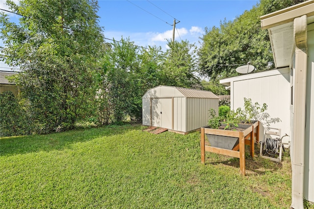 view of yard featuring a storage unit