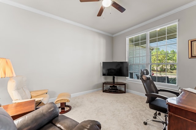 carpeted home office with ceiling fan and crown molding