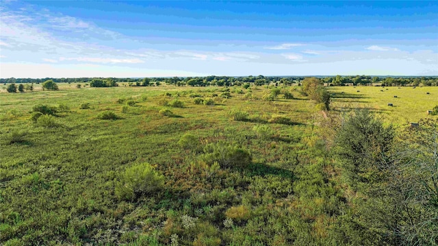 Listing photo 3 for TBD County Road 216, Caldwell TX 77836