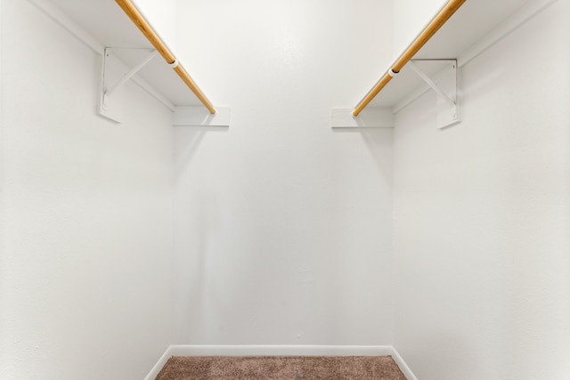 walk in closet with carpet