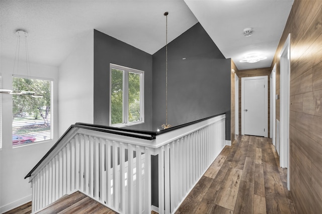 corridor featuring lofted ceiling, dark hardwood / wood-style floors, and a healthy amount of sunlight