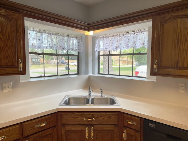 kitchen with dishwasher, sink, and a wealth of natural light