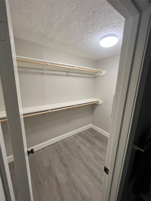 spacious closet featuring hardwood / wood-style flooring