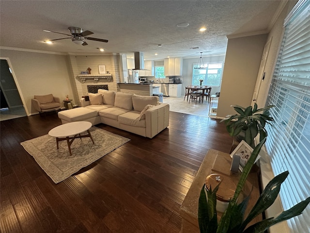 living room featuring dark wood-type flooring, a textured ceiling, and ceiling fan