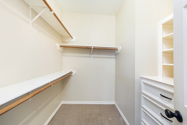 walk in closet with carpet flooring