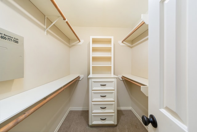 walk in closet with dark colored carpet