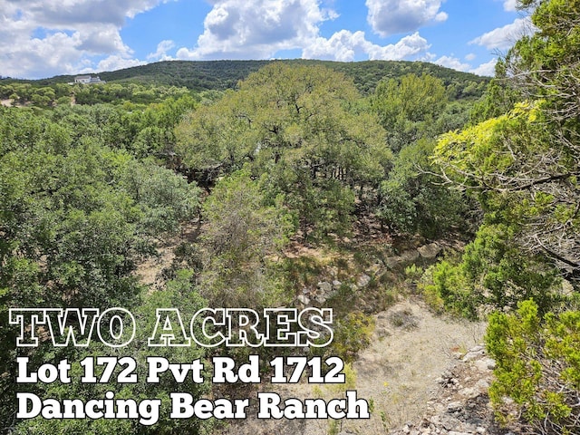 LOT172 Private Road 1712, Mico, TX 78056 - photo 1
