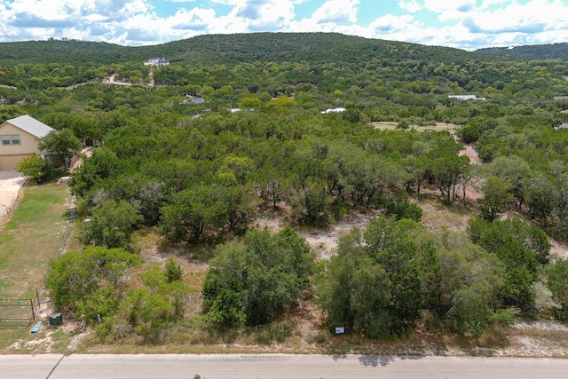 Listing photo 2 for LOT172 Private Road 1712, Mico TX 78056