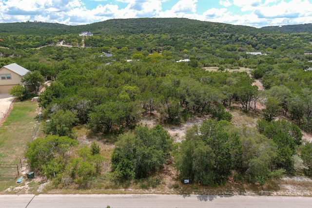 LOT172 Private Road 1712, Mico, TX 78056 - photo 2