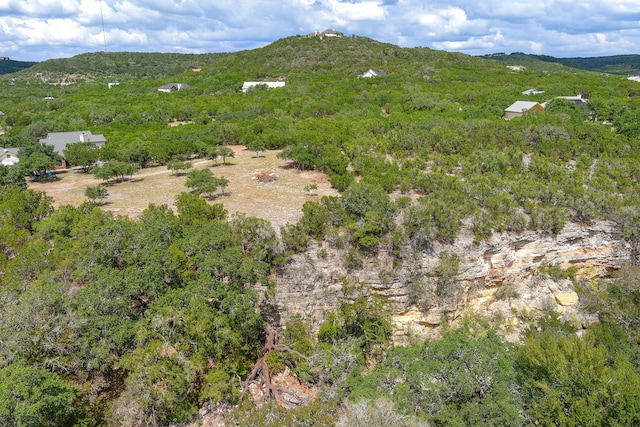 Listing photo 3 for LOT172 Private Road 1712, Mico TX 78056