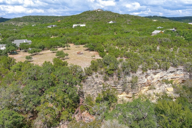 LOT172 Private Road 1712, Mico, TX 78056 - photo 3
