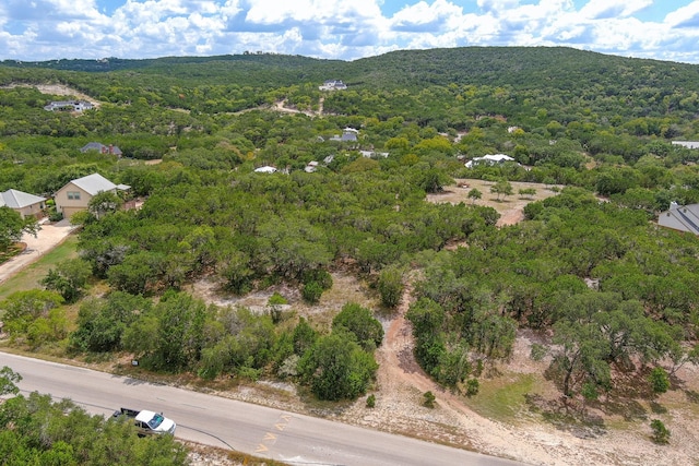 LOT172 Private Road 1712, Mico, TX 78056 - photo 4