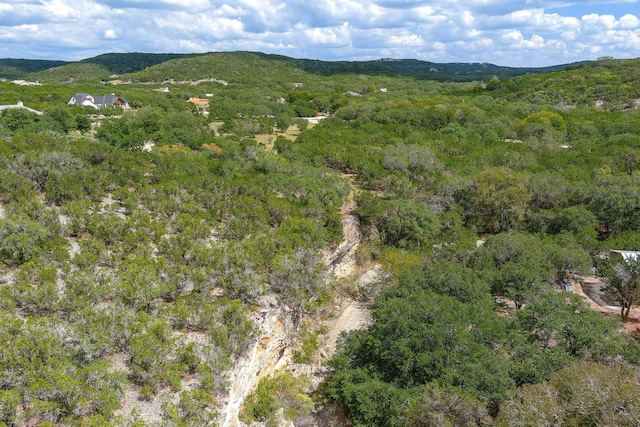 LOT172 Private Road 1712, Mico, TX 78056 - photo 6