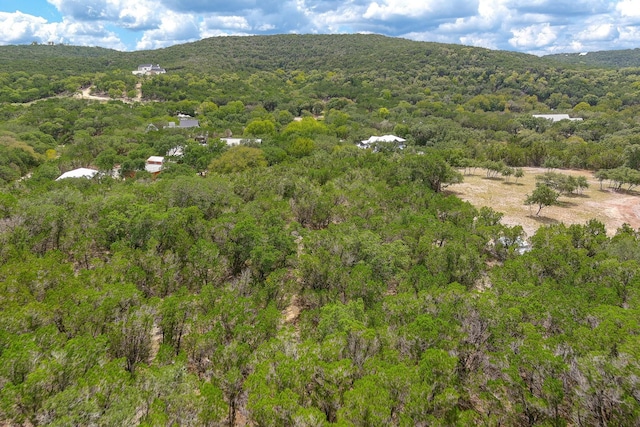 LOT172 Private Road 1712, Mico, TX 78056 - photo 7