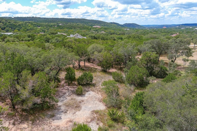 LOT172 Private Road 1712, Mico, TX 78056 - photo 8