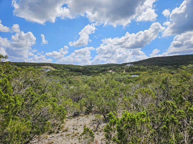 LOT172 Private Road 1712, Mico, TX 78056 - photo 9
