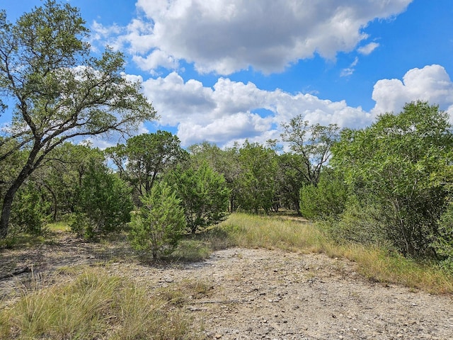 LOT172 Private Road 1712, Mico, TX 78056 - photo 11