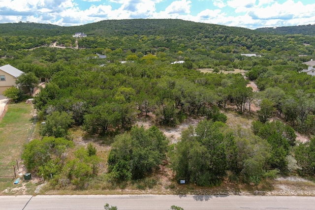 LOT172 Private Road 1712, Mico, TX 78056 - photo 12