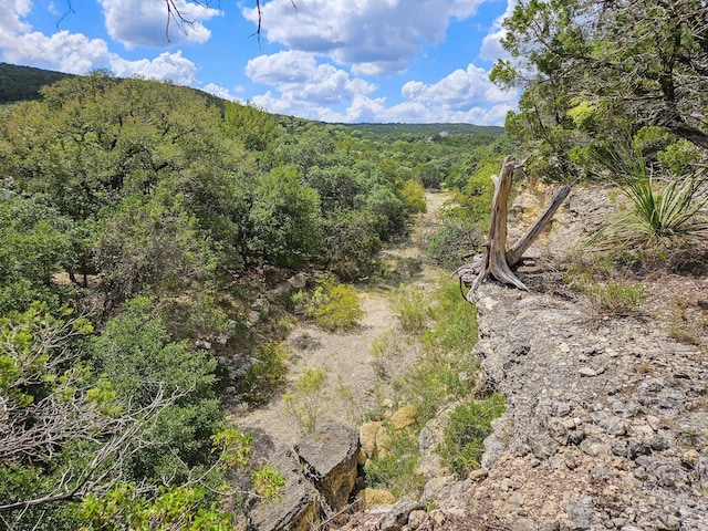 LOT172 Private Road 1712, Mico, TX 78056 - photo 13