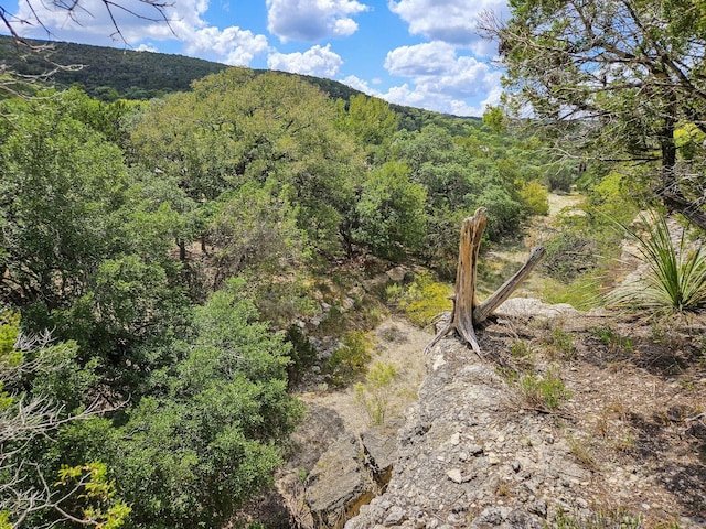 LOT172 Private Road 1712, Mico, TX 78056 - photo 15