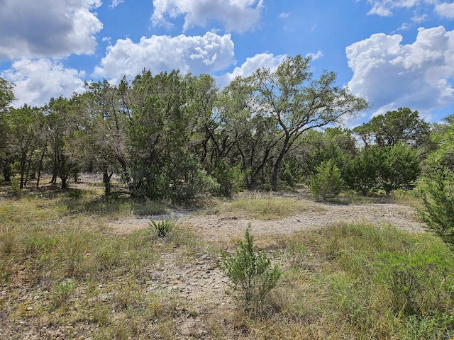 LOT172 Private Road 1712, Mico, TX 78056 - photo 16