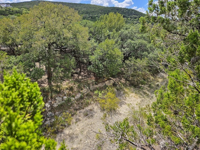 LOT172 Private Road 1712, Mico, TX 78056 - photo 17