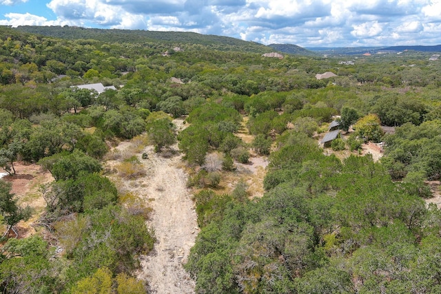 LOT172 Private Road 1712, Mico, TX 78056 - photo 18