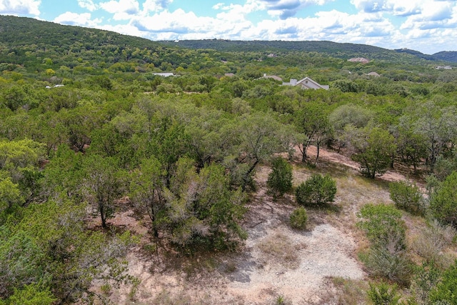 LOT172 Private Road 1712, Mico, TX 78056 - photo 21