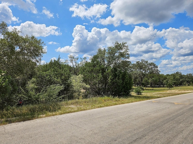 LOT172 Private Road 1712, Mico, TX 78056 - photo 22