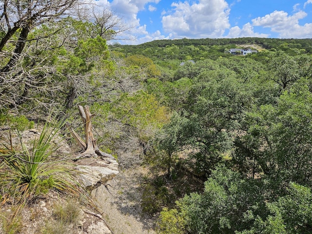 LOT172 Private Road 1712, Mico, TX 78056 - photo 23