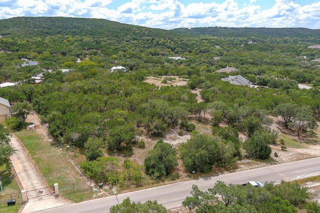 LOT172 Private Road 1712, Mico, TX 78056 - photo 26