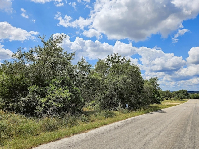 LOT172 Private Road 1712, Mico, TX 78056 - photo 27