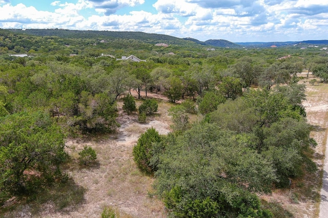LOT172 Private Road 1712, Mico, TX 78056 - photo 28