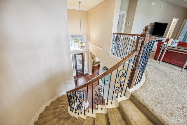 stairway with a notable chandelier, a high ceiling, hardwood / wood-style flooring, and ornamental molding