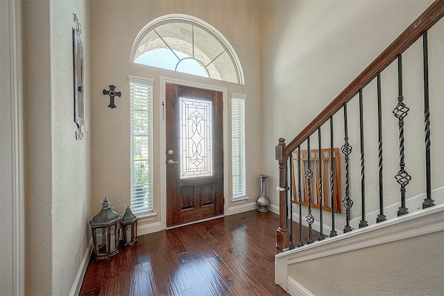 foyer entrance featuring a towering ceiling and dark wood-type flooring