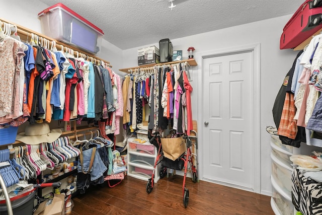 spacious closet featuring dark hardwood / wood-style floors