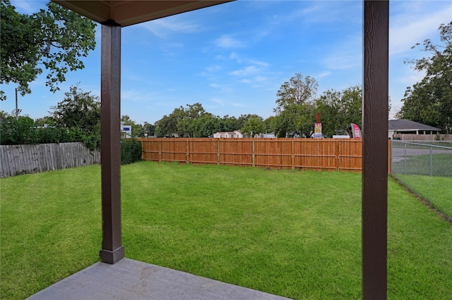 view of yard featuring a patio