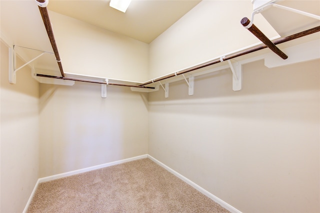 walk in closet featuring carpet flooring