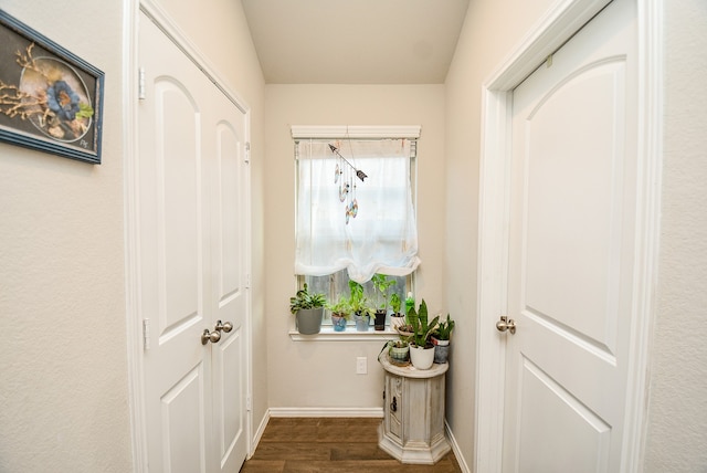 entryway with dark hardwood / wood-style flooring