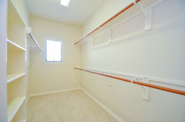 spacious closet with carpet floors