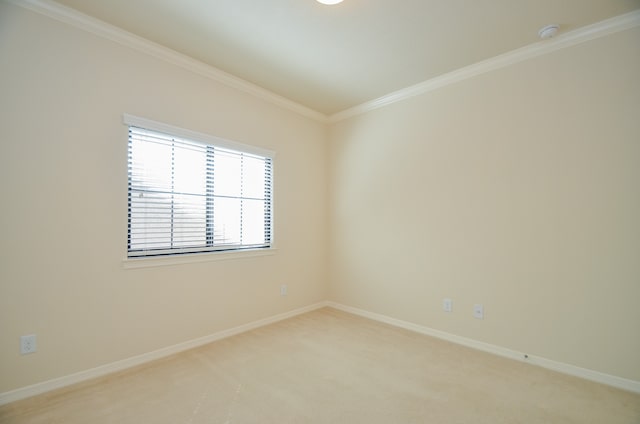 spare room with crown molding and carpet flooring