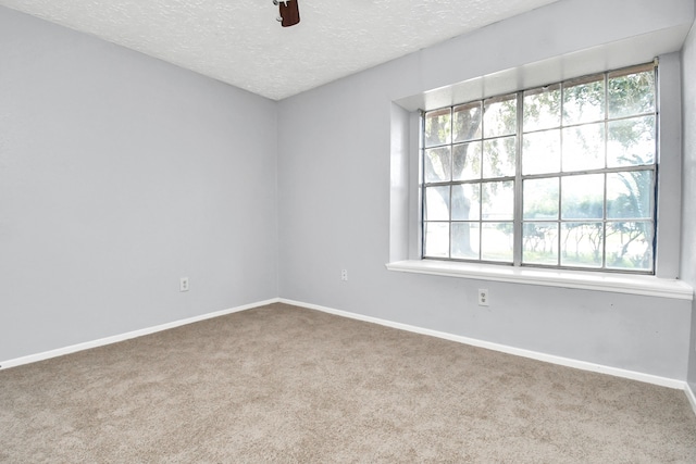 empty room featuring ceiling fan, carpet floors, and a textured ceiling