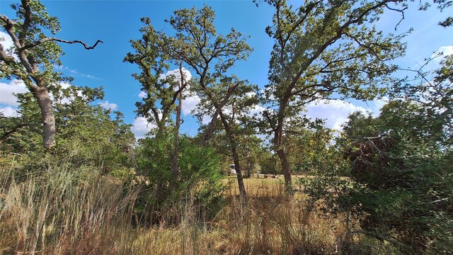 406 Choctaw Crst, Somerville, TX 77879 - photo 6